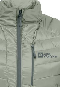 Jack Wolfskin ROUTEBURN PRO INS - Smanicato - mint leaf