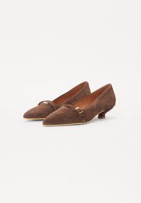 Brune semsket mid-heel sko med spiss tå, med en dekorativ stropp og detalj med gullspenne. Jevn tekstur med en ensfarget farge.