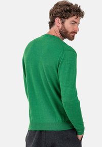 Grüner Strickpullover mit Rundhalsausschnitt, gerippten Bündchen und Saum. Weiche Textur mit einer figurbetonten Silhouette, von hinten betrachtet.