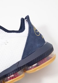 Nike Performance Obuwie do koszykówki