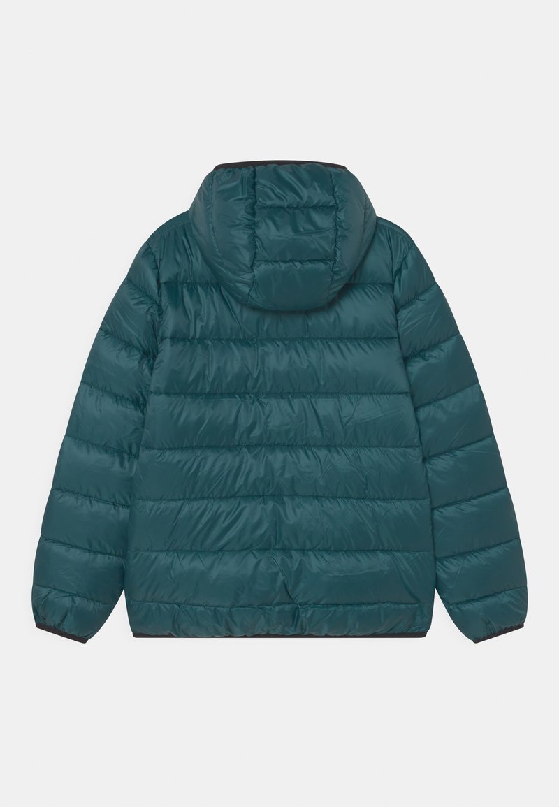 Champion Winter jacket dark green