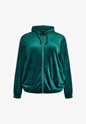 Velvet teal zip-up hoodie with a hood, highlighted by elastic cuffs and hem, and side pockets, featuring a smooth, soft texture.