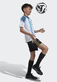 adidas Performance MESSI KIDS - Pantalón corto de deporte - black