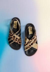 Paire de sandales noires avec imprimé léopard et lanières dorées, avec la marque "CAVAL" sur les semelles intérieures, sur un fond dégradé du bleu au rose.
