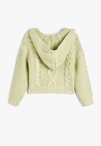Avskuren huvtröja i ljusgrön, stickad struktur med flätmönster på baksidan, ribbad nederkant och ärmslut, överdimensionerad huva.