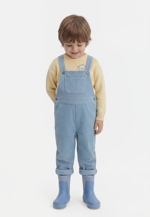 Wheat MIST - Gumáky - blue may