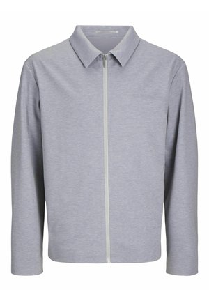 Veste zippée gris clair avec col, manches longues et texture lisse. Présente une fermeture éclair centrale et un design minimaliste.