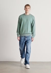 Φορώντας ανοιχτοπράσινο πουλόβερ με στρογγυλή λαιμόκοψη και ριμπ μανσέτες, σε συνδυασμό με μπλε τζιν και λευκά αθλητικά παπούτσια, στέκεται μπροστά σε απλό φόντο.