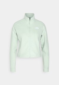 Giacca zip-up verde chiaro realizzata in tessuto morbido. Presenta un collare alto e maniche lunghe, con un logo sul lato sinistro del petto. Design accorciato.