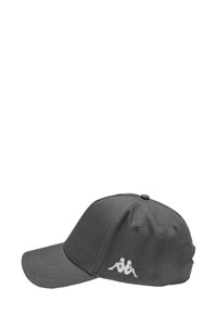 Cappellino da baseball grigio in cotone con visiera curvata e logo accentuato cucito che presenta due figure. Design strutturato e retro regolabile.