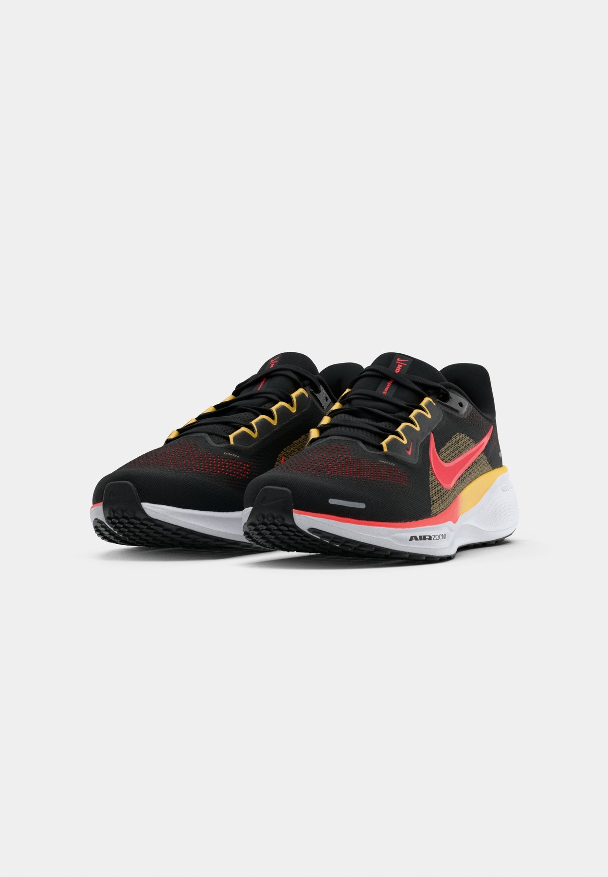 PEGASUS 41