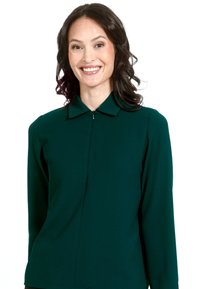 Zaļa, garām piedurknēm blūze ar apkakli un priekšējo rāvējslēdzēju. Gluda auduma, pieguļošs dizains un minimālisma stils bez rotājumiem.