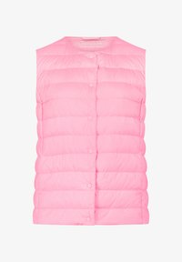 Sélectionné, pink carnation