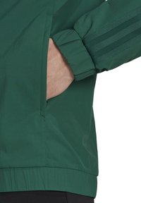 Grüne Jacke mit glatter Textur, ausgestattet mit einer seitlichen Reißverschlusstasche und elastischen Bündchen. Drei vertikale Streifen betonen den Ärmel.