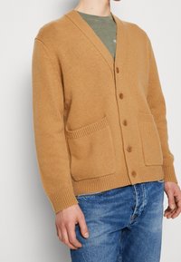 Cárdigan de punto color canela con escote en V, cierre de botones y dos bolsillos delanteros. Puños y dobladillo acanalados. Se lleva sobre una camisa verde, con jeans azules visibles.