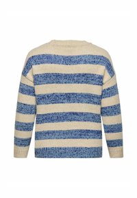 Crème- en blauwe gestreepte trui met een gestructureerd breipatroon, voorzien van lange mouwen en een ronde halslijn. Achteraanzicht weergegeven.