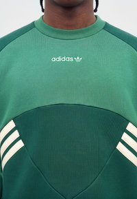 Άτομο που φοράει πράσινο φούτερ Adidas με λευκό λογότυπο στο κέντρο κοντά στον γιακά και τρεις λευκές ρίγες σε κάθε πλευρά του στήθους.
