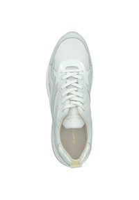 GANT VILLAGATE - Trainers - white