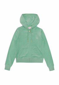 DACH ADDISON  - Felpa con zip - greyed jade