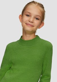 Grüner gerippter Pullover mit hochgeschlossenem Kragen, aus einem strukturierten Stoff und mit langen Ärmeln. Einfaches Design, keine sichtbaren Muster oder Akzente.