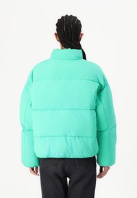 Minkštas mėtų spalvos puskailis su aukštu color, pasižymintis švelnia tekstūra, dideliu kirpimu ir matomomis siūlėmis, derinamas su tamsiomis kelnėmis.