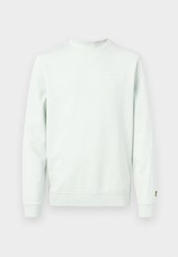 Světlé zelené mikina s dlouhými rukávy, kulatým výstřihem, žebrovanými manžetami a lemem; na přední straně malý bílý logo. Měkký bavlněný materiál.