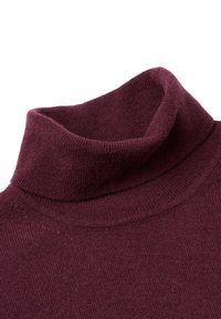 Bordowy sweter z golfem, wykonany z miękkiej, teksturowanej dzianiny. Posiada złożony kołnierz oraz dopasowany krój, idealny do warstwowego noszenia w chłodniejsze dni.