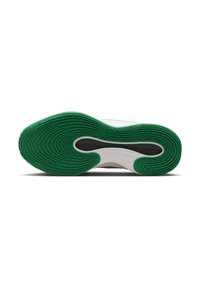 Nike Performance Obuwie do koszykówki
