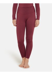 icebreaker 260 TECH HIGH RISE  - Tights - port