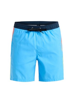 EVERYDAY HOLMES  VOLLEY - Surfshorts - bjt2