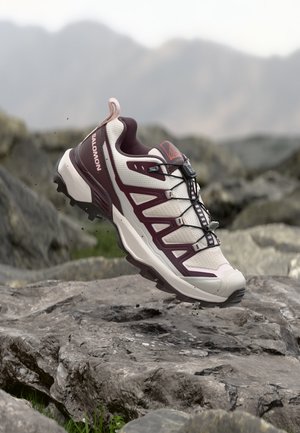 Chaussure de trail running Salomon de couleur claire avec des détails bordeaux flottant au-dessus d'un terrain rocheux avec des montagnes floues en arrière-plan.