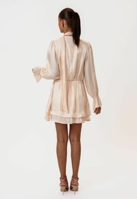 Svijetlo ružičasta haljina s plisiranim uzorkom, dugim rukavima, naglašenim strukom i višesloženom suknjom. Sadrži detalj s vezivanjem na leđima.