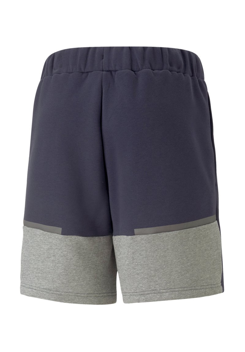Puma FUSSBALL - TEAMSPORT - TEAMCUP CASUALS - Sportovní kraťasy - blau