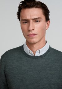 Donkergroene gebreide trui met een ronde hals, gedragen over een lichtblauw en wit gestreept shirt met kraag; heeft een klein logo op de borst.