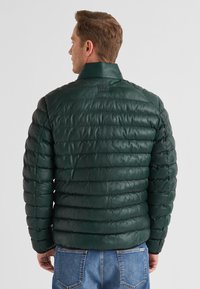 Grüne Nylon-Puffjacke mit horizontalen Nähten, hohem Kragen und Logolabel auf der Rückseite. Weiche Textur mit glänzendem Finish.