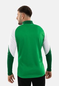 Maglietta atletica a maniche lunghe verde e bianca con colletto. Tessuto strutturato, design aderente e maniche raglan. Vista posteriore.