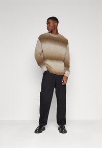 Selected Homme SLHGAARD RELAXED CREW NECK - Pulóver - chinchilla detail/multi color