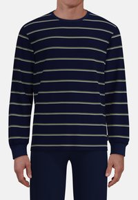 Navy long-sleeve shirt with horizontal light green stripes, ribbed crew neckline, and cuffs, featuring a relaxed fit and soft texture.