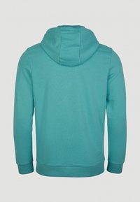 Sudadera con capucha de color turquesa, hecha de una tela suave, con un bolsillo tipo canguro y puños acanalados, vista desde atrás.