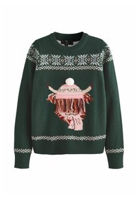 Grüner Strickpullover mit einem Highland-Rind-Design, langen, bunten Fransen, einem pinken Hut mit Pompon und Details im Fair Isle-Muster.