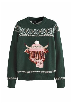 FAMILY MATCHBACK CHRISTMAS - Striktrøje - dark green