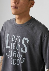 Levi's® LOCKWOOD PRACTICE TWO HORSE - Camiseta estampada - two horse jersey bri