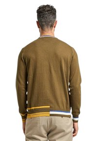 Maglione marrone lavorato a maglia con maniche lunghe, caratterizzato da un orlo a righe giallo, blu e bianco. Vista posteriore semplice, tessuto morbido.