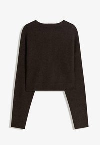 Pull marron court, en matière douce, à manches longues et col côtelé, avec un design simple et sans coutures.