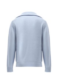 Hellblauer, gerippter Strickpullover mit strukturiertem Kragen und langen Ärmeln, der eine strukturierte Oberfläche und einen entspannten Schnitt aufweist. Rückansicht.