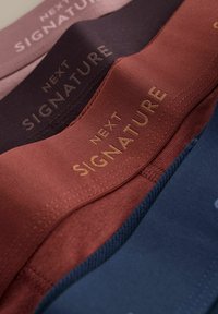 Prim-plan cu benzi de material în roz, mov închis, rugină și bleumarin, fiecare etichetată cu "Next Signature" în litere aurii.