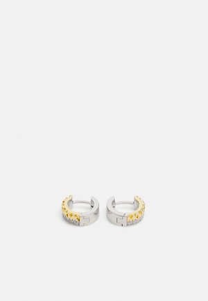 Earrings - silver
