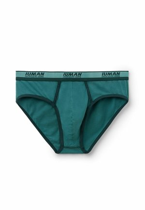 Pánské tyrkysové slipy s tmavým lemem a elastickým pasem s logem, položené na bílém pozadí.