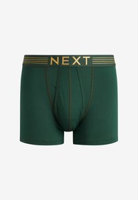 Next A FRONTS 10 PACK - Boxerkalsong - rich colour