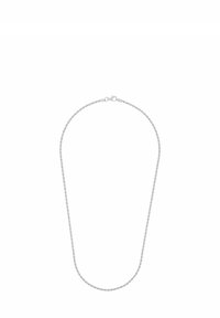 Collana d'argento con un design a catena attorcigliata, dotata di un gancio a moschettone. Texture liscia, leggera e forma flessibile.
